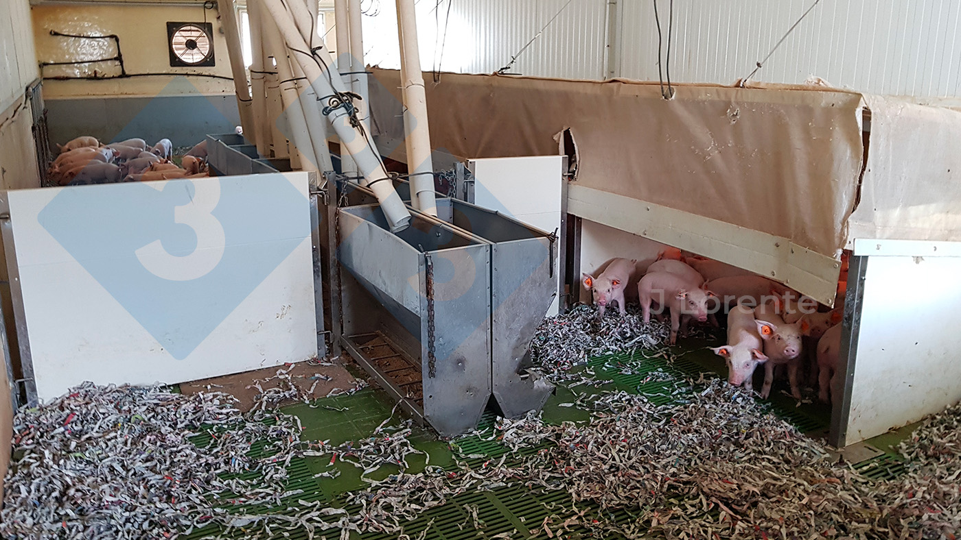 Nursery barn with large groups with the option for paneling and reducing spaces.